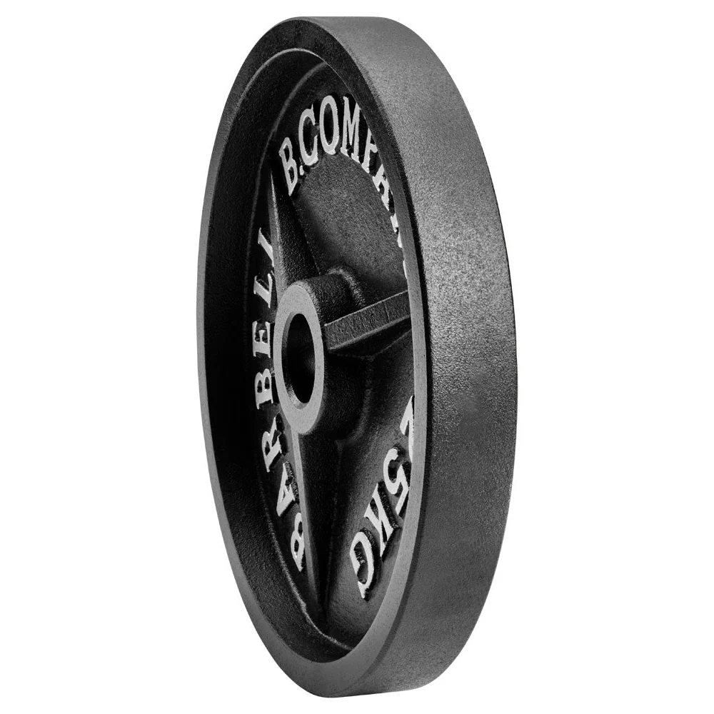 Guss Hantelscheiben 50/51 mm - Image 28