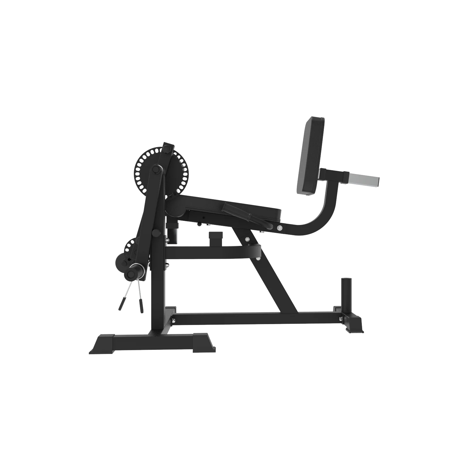 Beinstrecker und -beuger - Image 6